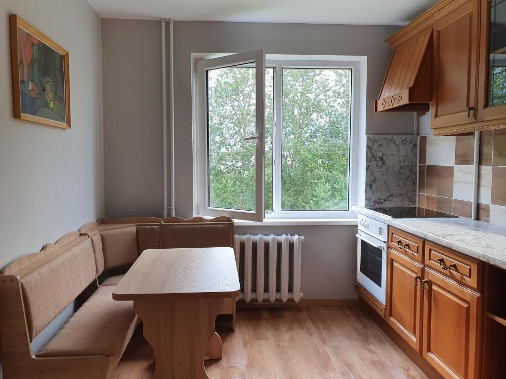 Апартаменты 1 kambario butas. 1 bedroom flat Йонишкис-21