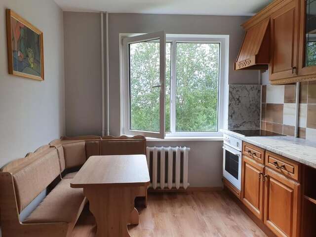 Апартаменты 1 kambario butas. 1 bedroom flat Йонишкис-20