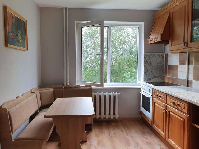 Апартаменты 1 kambario butas. 1 bedroom flat Йонишкис-4